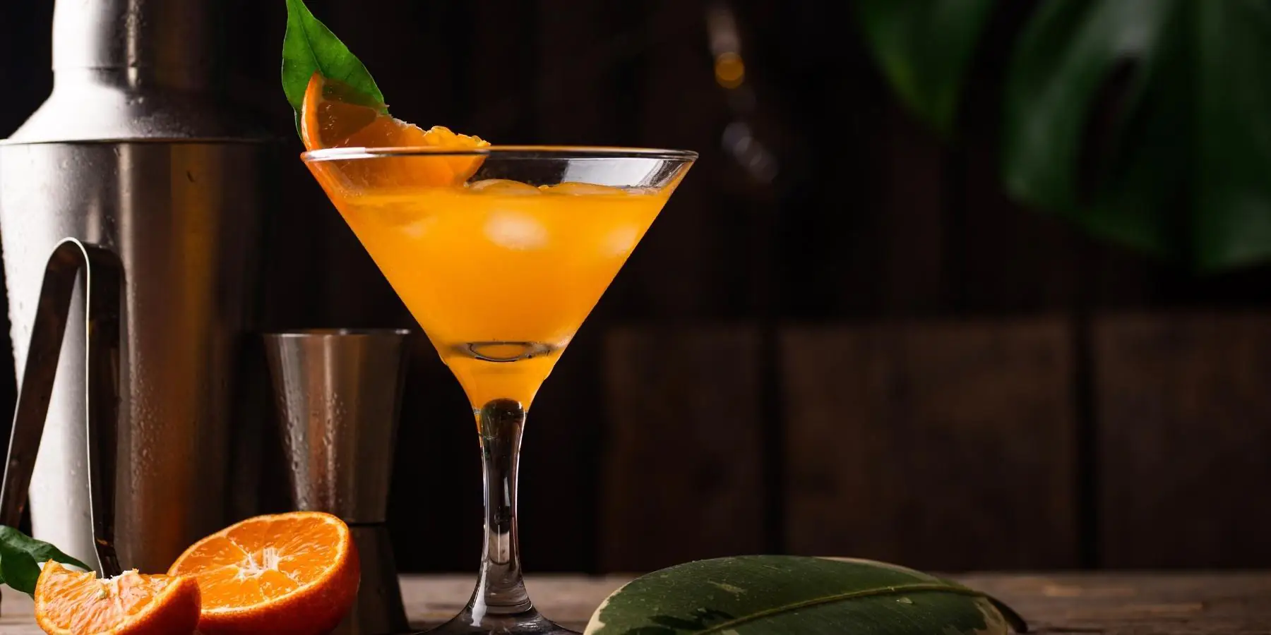 Bronx Cocktail